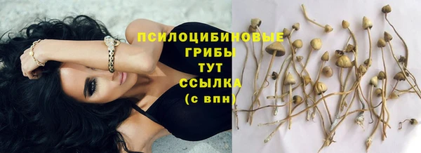 спайс Балахна